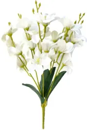 bukiet-5-galazek-bialy-storczyk-or-src-18092