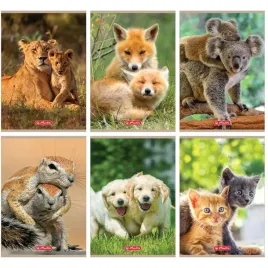 zeszyt-szkolny-a5-32-kartki-w-kratke-70g-animals-9583063-herlitz