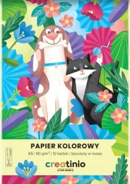 zeszyt-papierow-kolorowych-a5-10k-80g-creatinio-400176683-top-2000
