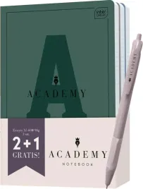 zeszyt-a5-60-kartek-kratka-academy-3-szt-interdruk