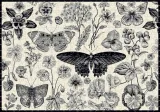 puzzle-500-elementow-ukladanka-flowers-interdruk-stan-nowy