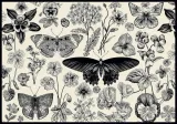 puzzle-500-elementow-ukladanka-flowers-interdruk-kod-producenta-5902277326041
