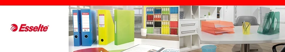 segregator-na-dokumenty-a4-75mm-szary-esselte