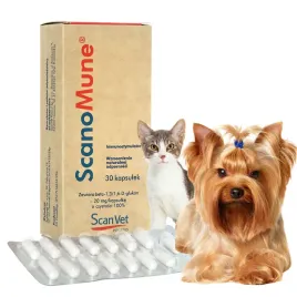 scanvet-scanomune-immunostymulator-dla-psow-i-kotow-30-kapsulek
