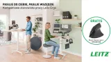 podnozek-biurowy-pod-stopy-leitz-ergo-cosy-kod-producenta-53710089