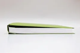 teczka-plus-skoroszytowa-a4-zielona-zero-max-205113-leviatan