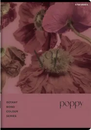 zeszyt-szkolny-a5-96-kartek-kratka-z-marginesem-top-2000