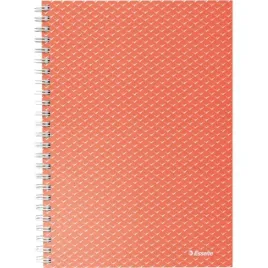 kolonotatnik-a5-80-kartek-notes-w-kratke-esselte