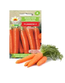 marchew-pozna-flakkese-nasiona-5-g-226