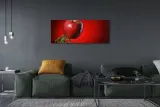wydruk-na-plotnie-canvas-jablko-woda-125x50-cm-format-poziomy