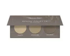 pierre-rene-paleta-cieni-do-brwi-01-blonde-39g