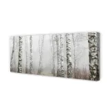 wydruk-na-plotnie-canvas-mgla-brzozy-125x50-cm