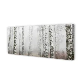 wydruk-na-plotnie-canvas-mgla-brzozy-125x50-cm