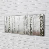 wydruk-na-plotnie-canvas-mgla-brzozy-125x50-cm-stan-nowy