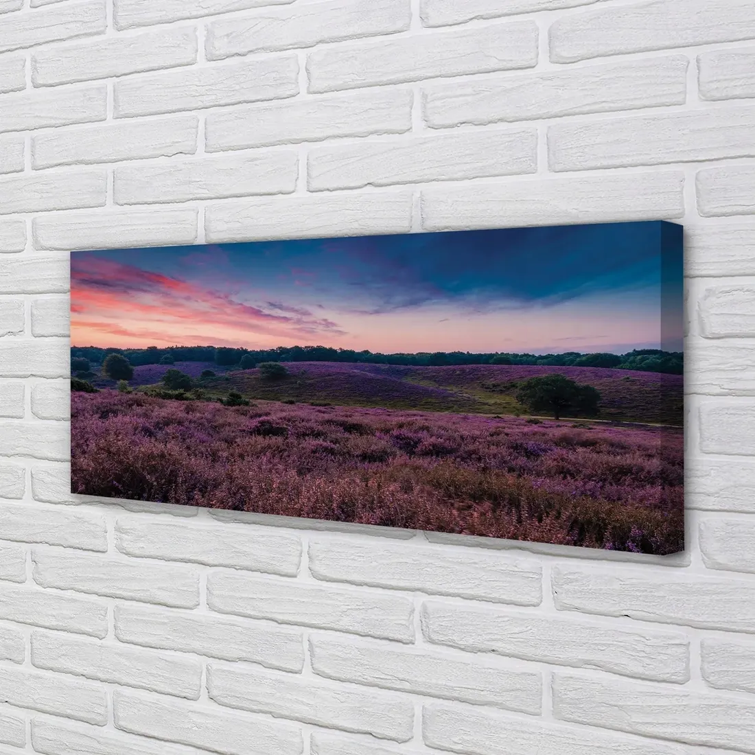 wydruk-na-plotnie-canvas-pole-wrzosy-125x50-cm-stan-nowy