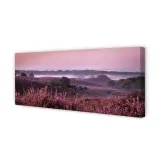 wydruk-na-plotnie-canvas-pole-wrzosy-125x50-cm