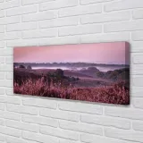 wydruk-na-plotnie-canvas-pole-wrzosy-125x50-cm-stan-nowy