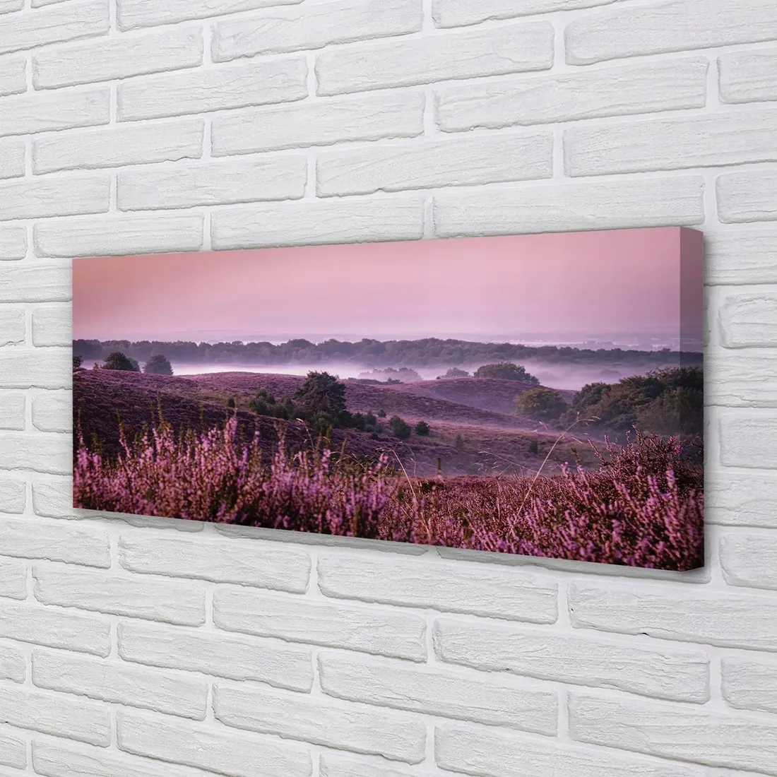 wydruk-na-plotnie-canvas-pole-wrzosy-125x50-cm-stan-nowy
