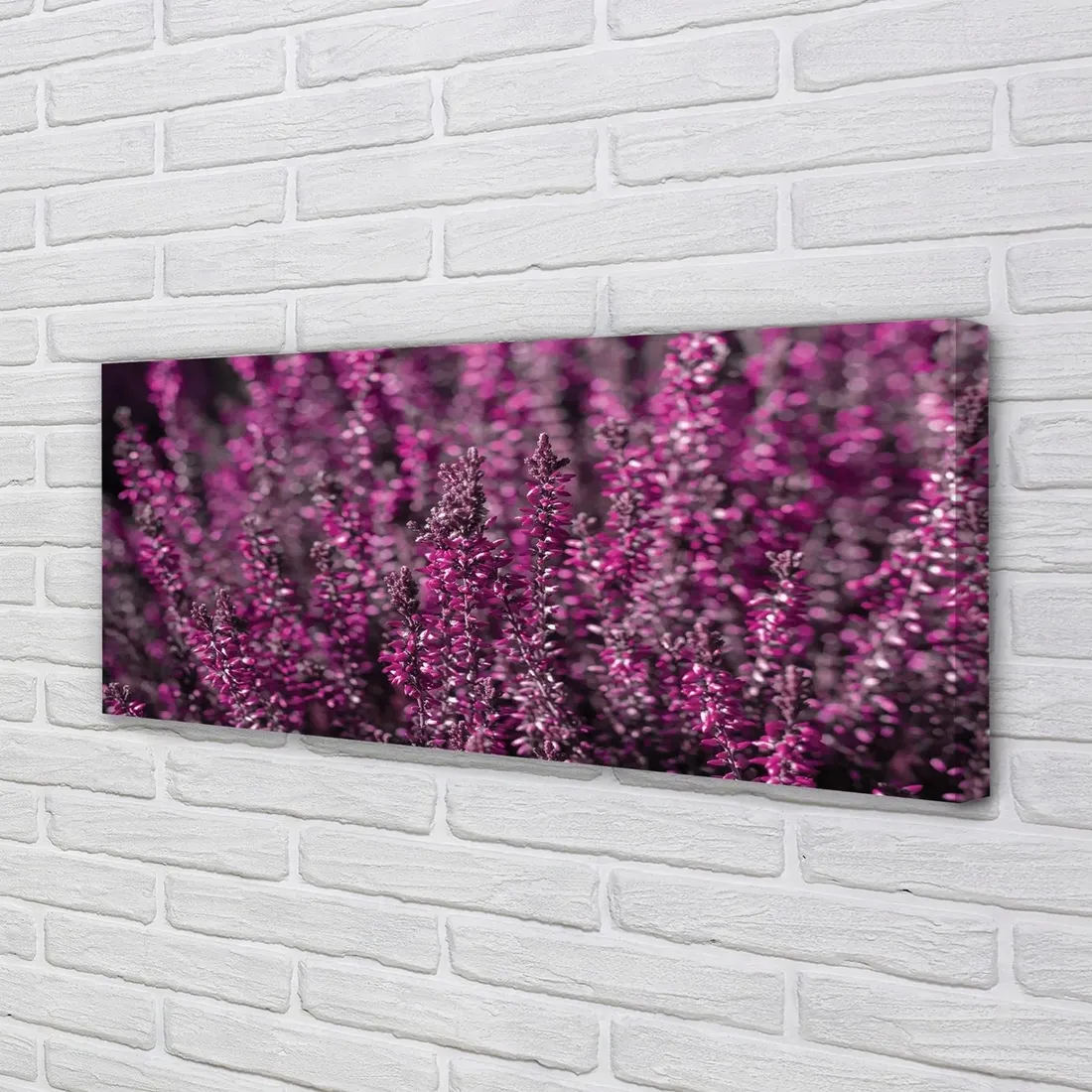 wydruk-na-plotnie-canvas-pole-wrzosy-125x50-cm-stan-nowy