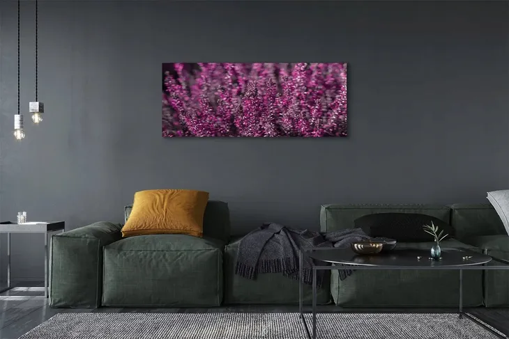 wydruk-na-plotnie-canvas-pole-wrzosy-125x50-cm-format-poziomy