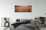wydruk-na-plotnie-canvas-wrzosy-pole-125x50-cm-sposob-wykonania-druk-cyfrowy