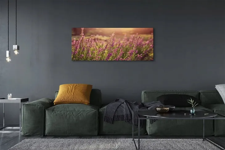 wydruk-na-plotnie-canvas-wrzosy-pole-125x50-cm-format-poziomy