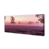 wydruk-na-plotnie-canvas-pole-wrzosy-125x50-cm