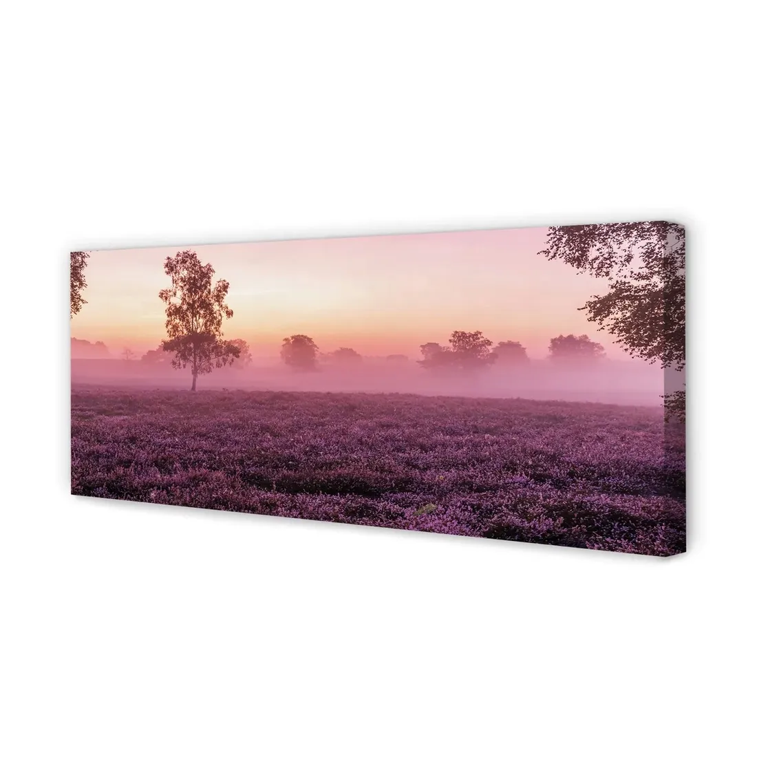 wydruk-na-plotnie-canvas-pole-wrzosy-125x50-cm