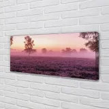 wydruk-na-plotnie-canvas-pole-wrzosy-125x50-cm-stan-nowy