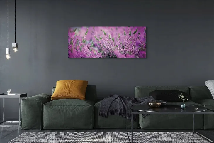 wydruk-na-plotnie-canvas-pole-wrzosy-125x50-cm-format-poziomy
