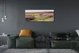 wydruk-na-plotnie-canvas-pole-wrzosy-125x50-cm-format-poziomy