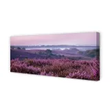 wydruk-na-plotnie-canvas-pole-wrzosy-125x50-cm