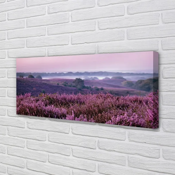 wydruk-na-plotnie-canvas-pole-wrzosy-125x50-cm-stan-nowy