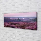 wydruk-na-plotnie-canvas-pole-wrzosy-125x50-cm-stan-nowy