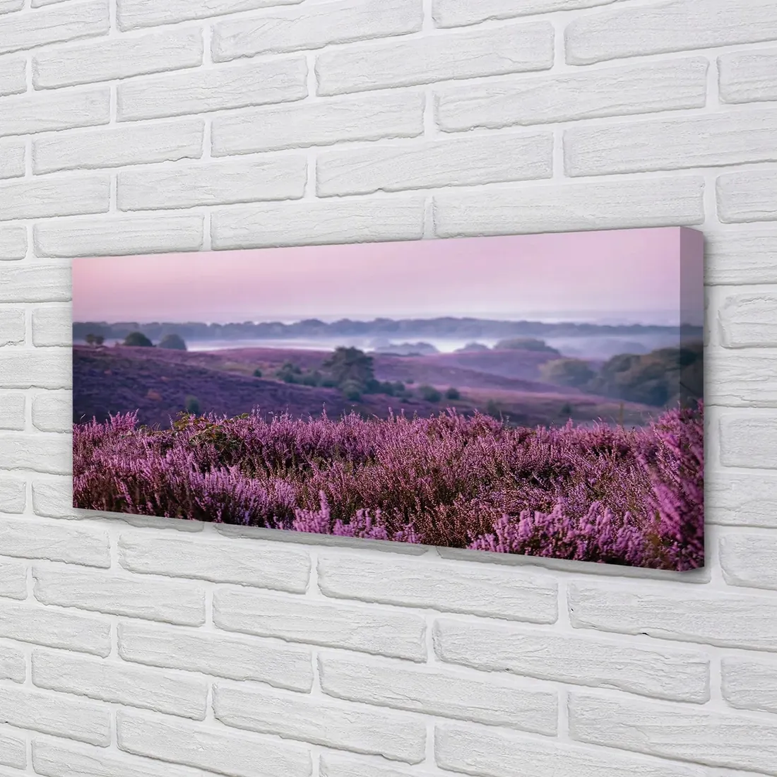 wydruk-na-plotnie-canvas-pole-wrzosy-125x50-cm-stan-nowy