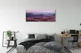 wydruk-na-plotnie-canvas-pole-wrzosy-125x50-cm-sposob-wykonania-druk-cyfrowy