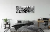 wydruk-na-plotnie-canvas-retro-zebra-125x50-cm-sposob-wykonania-druk-cyfrowy