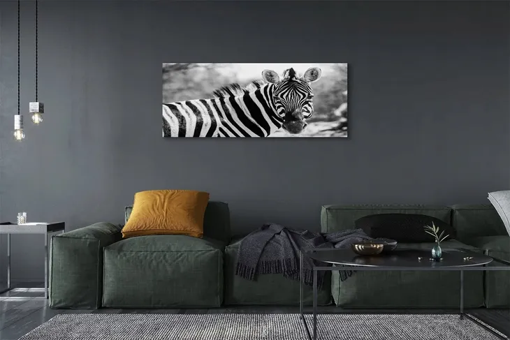 wydruk-na-plotnie-canvas-retro-zebra-125x50-cm-format-poziomy
