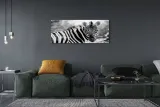wydruk-na-plotnie-canvas-retro-zebra-125x50-cm-format-poziomy