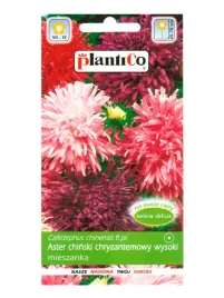 aster-chryzantemowy-mix-nasiona-1-g-plantico