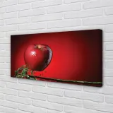 wydruk-na-plotnie-canvas-jablko-woda-140x70-cm-stan-nowy