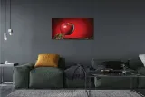 wydruk-na-plotnie-canvas-jablko-woda-140x70-cm-format-poziomy