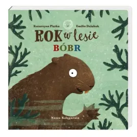rok-w-lesie-bobr
