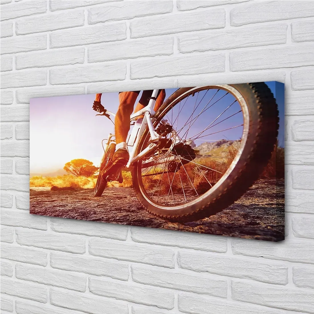 obraz-na-plotnie-rower-gory-droga-zachod-140x70-stan-nowy