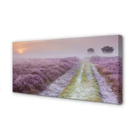 wydruk-na-plotnie-canvas-pole-wrzosy-140x70-cm