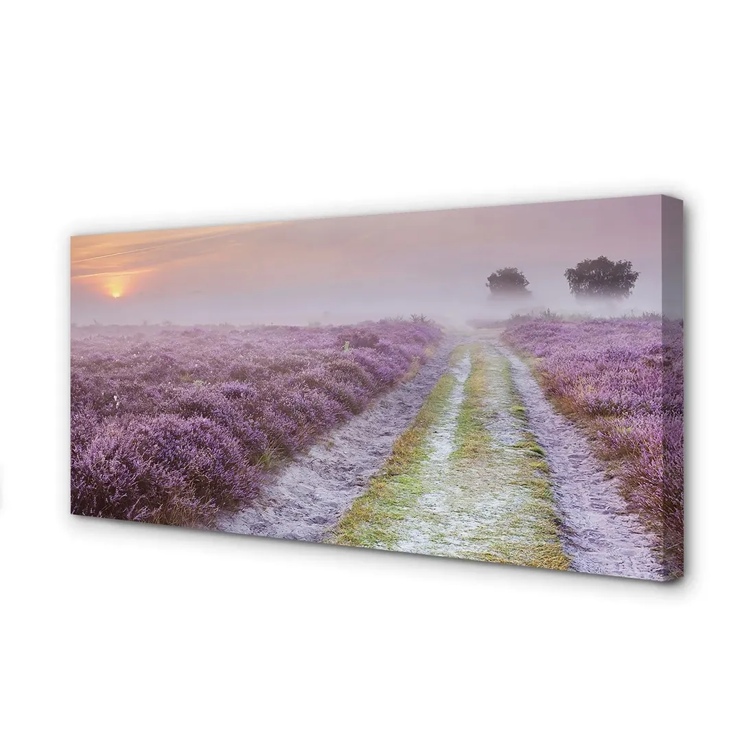 wydruk-na-plotnie-canvas-pole-wrzosy-140x70-cm