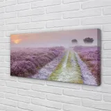 wydruk-na-plotnie-canvas-pole-wrzosy-140x70-cm-stan-nowy