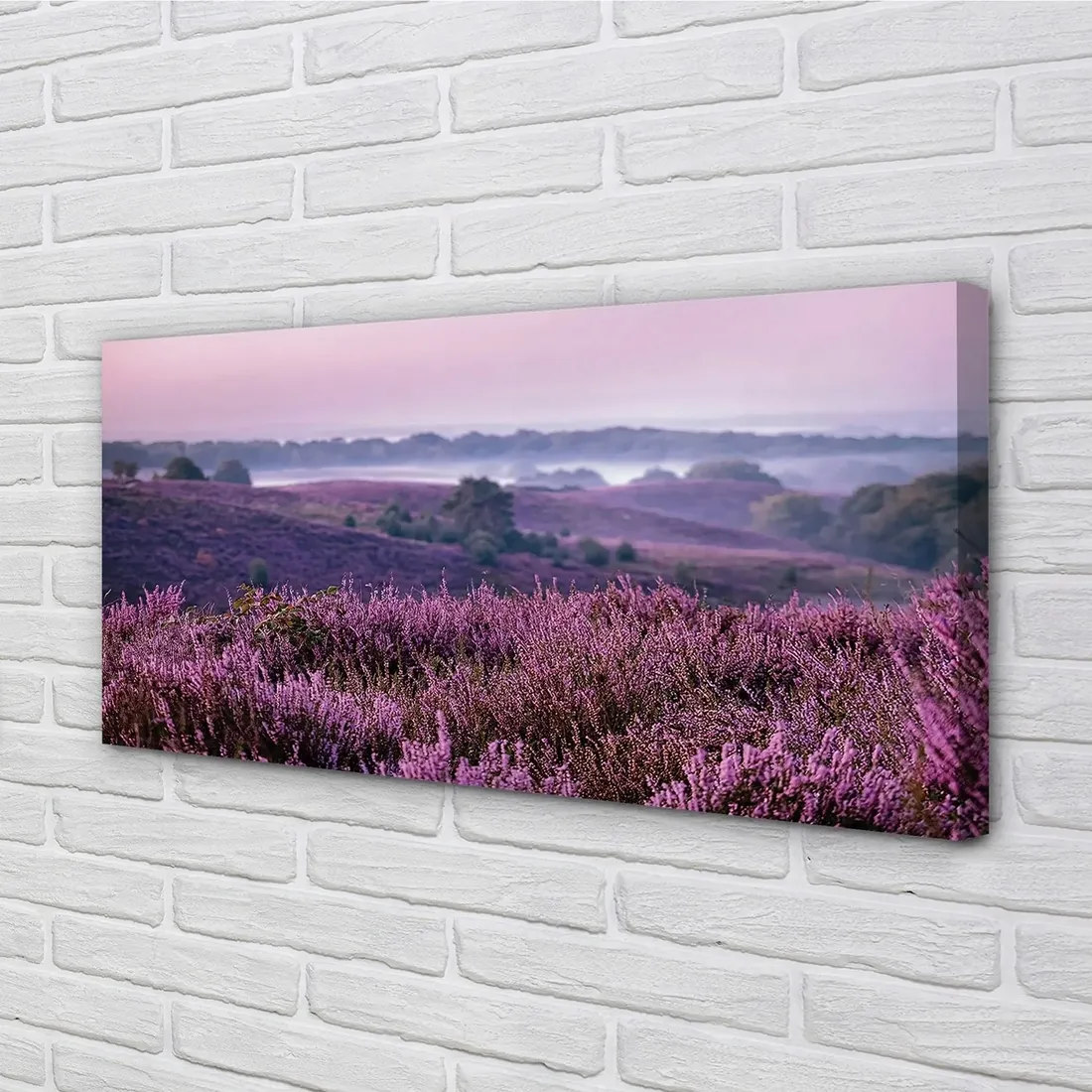 wydruk-na-plotnie-canvas-pole-wrzosy-140x70-cm-stan-nowy
