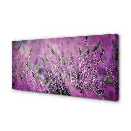 wydruk-na-plotnie-canvas-pole-wrzosy-140x70-cm