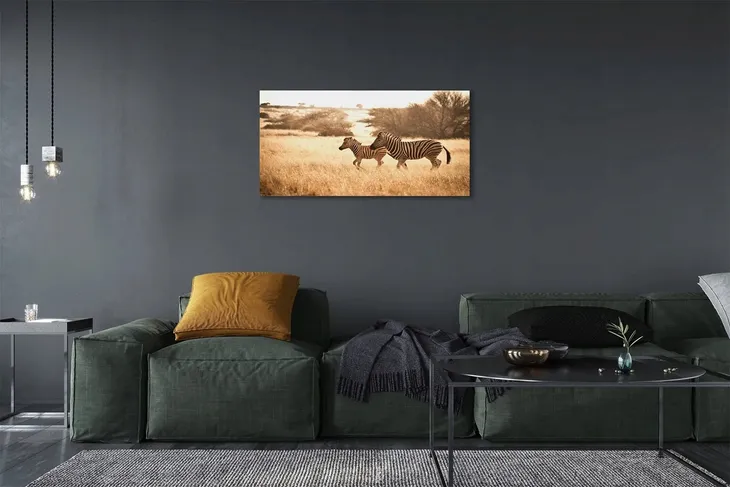 obraz-na-plotnie-zebra-pole-zachod-slonca-140x70-format-poziomy